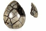 8.4" Septarian "Dragon Egg" Geode - Removable Section - #200201-2